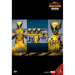 Hot Toys MMS753 - Marvel Comics - Deadpool & Wolverine - Wolverine