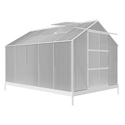 Vente-Unique Serre de Jardin en polycarbonate de 9 m² avec embase - Gris métallique - COROLLE II