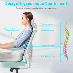 BIGZZIA Chaise de Bureau - Ergonomique Fauteuil avec 2D Accoudoirs, Hauteur Appui-tête Soutien Lombaire Dossier Règalable Vert