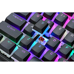 Acheter Clavier PREYON Brown Blitz Claw Gateron Brown | Boîtier aluminium | Clavier interchangeable Pudding/Noir PBT | RGB | Antighosting | Gaming