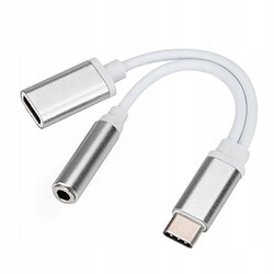 GUPBOO Adaptateur 2 en 1 USB-C vers Mini Jack 3,5 mm + USB-C,JL2059