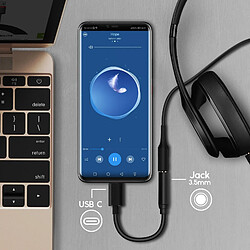 Acheter Avizar Adaptateur USB Type C vers Jack 3.5 mm Câble Audio Femelle Compact - Noir