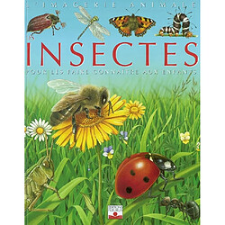 Les insectes : pour les faire connaître aux enfants