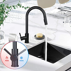 Acheter NETTLIFE Robinet de cuisine avec pomme de douche extensible, à haute pression, en acier inoxydable à jet double et pivotant à 360 °, Noir