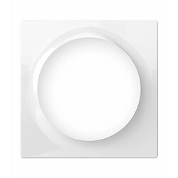 Plaque de finition simple pour interrupteur ou prise Walli - Fibaro