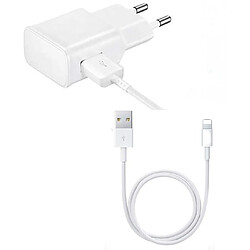 Chargeur Secteur 2A + Cable Usb Lightning pour Iphone 5 / 5s / 6 / 6s / 6 Plus / 6s Plus / 7 / 7Plus / 8 / 8Plus / X / Xs / Xr Little Boutik®