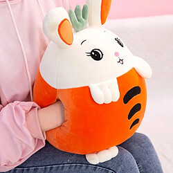 Universal Fruits Animaux Trois Oreillers Couvertures Cartoon Radis Chauffe Mains Peluche Poupée Taie d'oreiller 40 cm | Oreiller de luxe