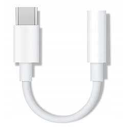 GUPBOO Adaptateur/USB-C vers mini-jack 3,5,JL1999