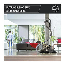 Acheter Aspirateur Traineau Sans Sac - HOOVER - HP720PET - 850 W - 68 dBA - Cassette 2 L - Spécial parquet et animaux