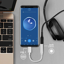 Acheter Avizar Adaptateur Connecteur USB Type C vers Jack 3.5 mm Audio Femelle Compact - Blanc