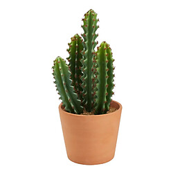 But Cactus pot terra H. 30 cm UNIA Terracotta