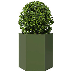 Acheter vidaXL Jardinières 2 pcs vert olive hexagone 46x40x45 cm acier