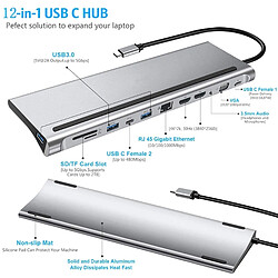 Acheter Universal Hub USB type C gris 12 en 1 à double adaptateur d'alimentation RJ45 multiUSB 3.0 compatible avec le transfert PD