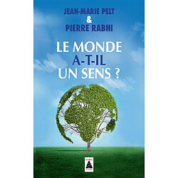 Le monde a-t-il un sens ? : essai