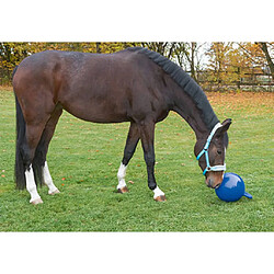 Kerbl Balle de jeu pour chevaux Bleu 25 cm 32399