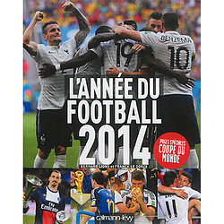 L'année du football 2014