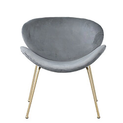 Avis ComfortXL Chaise de Salle à Manger en Velours, Lot de 2, Luxueuse, Pieds Métalliques Dorés, Gris