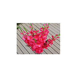 Simulation Artificielle Fleur De Glaïeul Tige Mariage Home Decor Rose Rouge pas cher