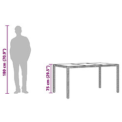 vidaXL Table de jardin dessus en verre Noir 150x90x75cm Résine tressée pas cher