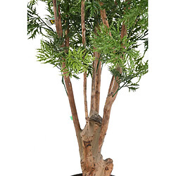 Acheter Pegane Plante artificielle haute gamme Spécial extérieur Aralia, coloris vert - Dim : 165 x 80 cm