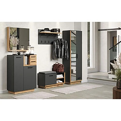 Armoire de chambre SYNNAX - 2 Portes + 1 tiroir - Décor gris anthracite et chene miel - L65 x P40 x H198 cm - TRENDTEAM pas cher