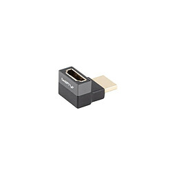 Adaptateur HDMI Lanberg 