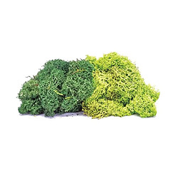 Skale Scenics Lichen - Large Green Mix - Humbrol