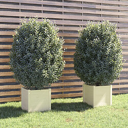 vidaXL Jardinières d'extérieur 2 pcs Blanc 40x40x40 cm Bois de pin