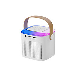 Avis Eko Enceinte Bluetooth 5.3 Mini Karaoké Modèle Taylor Blanc