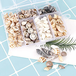 100g Plage Mer Coquilles Spirale Shell Perles Coquillages Naturels pour Fish Tank, Plage Soirée à Thème, fabrication de bougies, de Mariage Décor À La pas cher