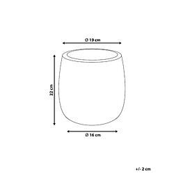 Avis Beliani Cache-pot d 19 cm blanc cassé LIVADIA