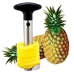 Acheter Carré d'ananas inoxydable