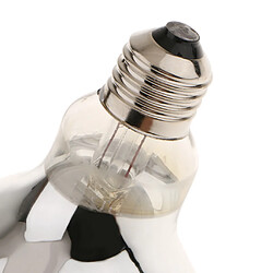 Avis E27 chaleur ampoule lampe d'élevage émetteur de chaleur infrarouge type de chauffage 1 - 175w