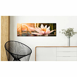 Paris Prix Tableau Imprimé Beautiful Lotus 45 x 135 cm