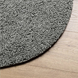 Avis vidaXL Tapis shaggy PAMPLONA poils longs moderne vert Ø 100 cm