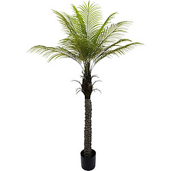 Plante décorative Alexandra House Living Plastique Palmier 180 cm