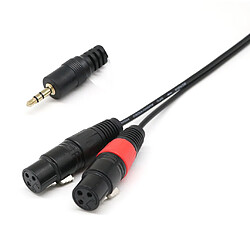 Avis Mono Jack 3.5mm (PC/ Ordinateur Portable) à 2 XLR Femelle (Mélangeur / Haut-parleur) Câble Diviseur