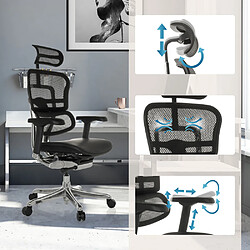 Avis Chaise de bureau / fauteuil de direction ERGOHUMAN GEN2 assise cuir / dossier maille noir hjh OFFICE