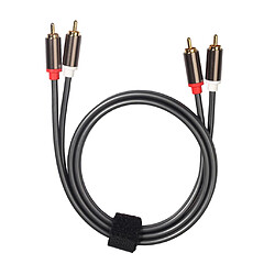 Acheter Câble audio 2RCA à 2RCA mâle à mâle pour amplificateur 1m DVD Home Theater