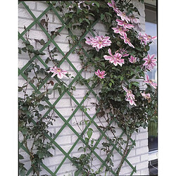 Nature Treillis de jardin 2 pcs 100 x 200 cm PVC Vert