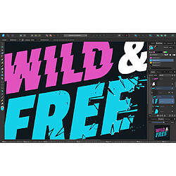 Acheter Profil Technology Affinity Designer v2 - Licence perpétuelle - 1 Mac - A télécharger