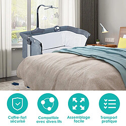 Acheter Decoshop26 2 en 1 berceau cododo bébé avec matelas hauteur réglables connecter avec lit de parent arceau de jeu jusqu'à 9 kg 20_0000023