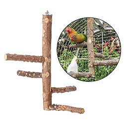 Oiseau De Compagnie Perroquet Support De Support De Perche En Bois Naturel Meulage L 15x35cm pas cher