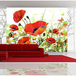 Paris Prix Papier Peint Country Poppies II 400x270cm