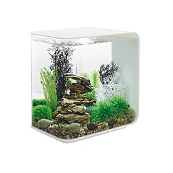 Avis Aquarium décoratif 30l mcr avec cadre blanc - Flow30MCR white - OASE