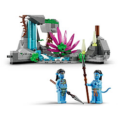 Avis LEGO Avatar Le premier vol en Banshee de Jake et Neytiri