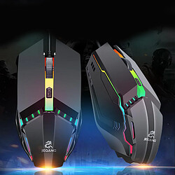 Ordinateur Portable de bureau USB RVB Filaire Gaming Mouse 1600 DPI Souris, 3 DPI Options pour Jeux et Travail