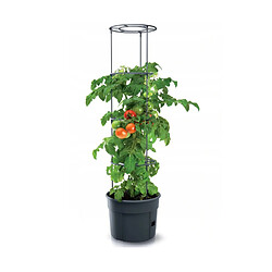 Pot pour pied de tomates 28L Tomato Grower IPOM400-S433