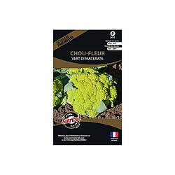 Sanrival Graines potagères premium chou Chou fleur vert Di Macerata