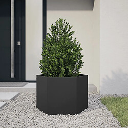 vidaXL Jardinière noir hexagone 69x60x45 cm acier